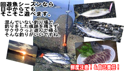 沼津 釣りガイド